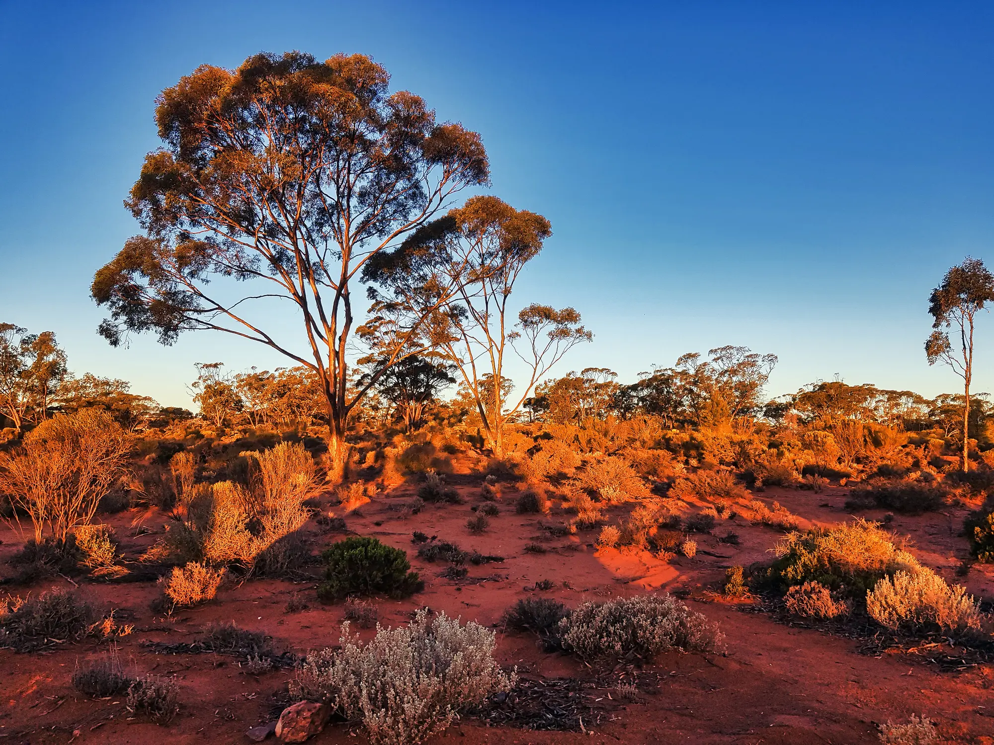 Sunset in the Australian outback after boarding Nexus airlines Perth to Kalgoorlie flight.
